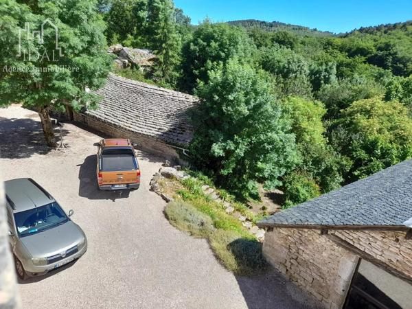 Vente                                                      Maison
                        
                                         358 m2                     à Sévérac-d'Aveyron