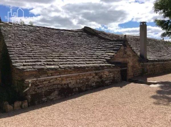 Vente                                                      Maison
                        
                                         358 m2                     à Sévérac-d'Aveyron