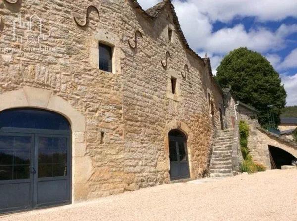 Vente                                                      Maison
                        
                                         358 m2                     à Sévérac-d'Aveyron