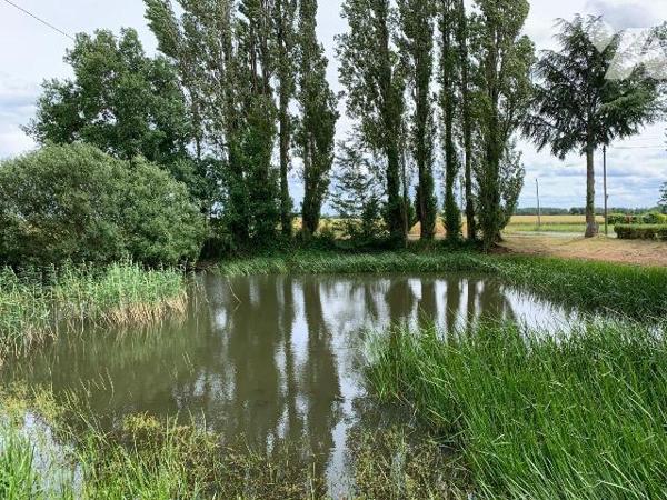 Terrain sur lequel existe un chalet de 31,33 m² habitable et une mare.