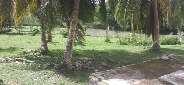 À Vendre  - Maison familiale de caractère à Grand-Bourg, Marie-Galante (97112)