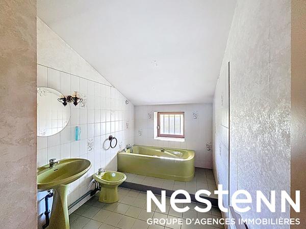 À vendre : Maison de caractère avec grand terrain à Crottet (01290)