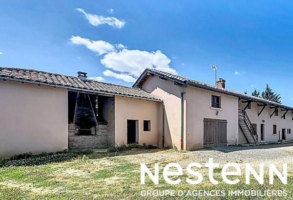 À vendre : Maison de caractère avec grand terrain à Crottet (01290)