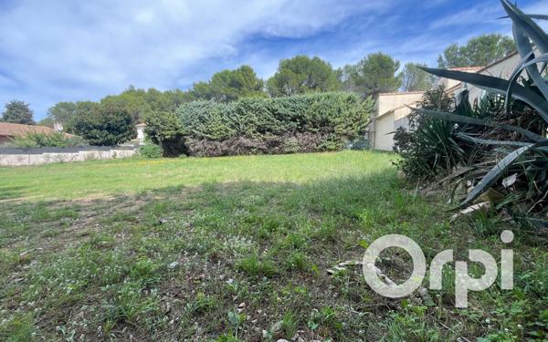 Terrain à vendre    Fontvieille