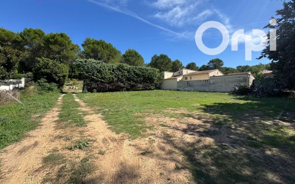 Terrain à vendre    Fontvieille