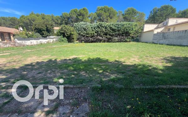 Terrain à vendre    Fontvieille