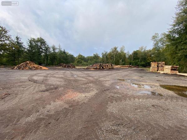 Fonds et/ou murs commerciaux à vendre à Salbris dans le Loir-et-Cher (41300), ref : 044/1991