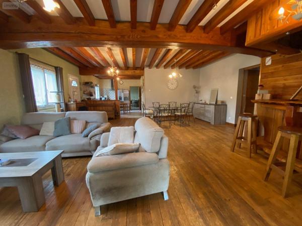 Fonds et/ou murs commerciaux à vendre à Salbris dans le Loir-et-Cher (41300), ref : 044/1991