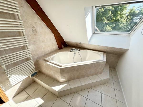 Maison mitoyenne 1 côté Annet-sur-Marne 199 m²