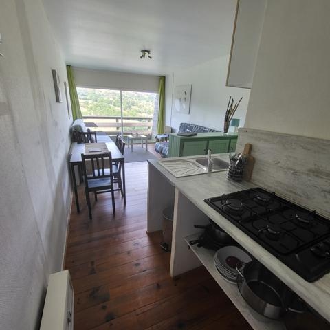 Complexe Eco village CHEYLADE Cheylade (15400)