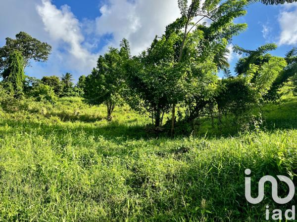 Terrain à vendre 480 m² Le Lamentin