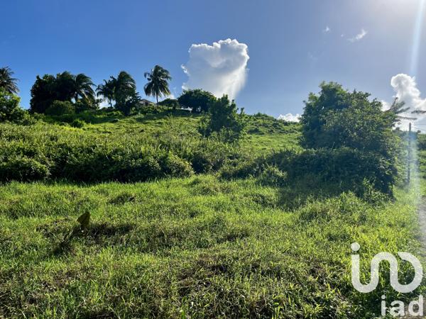 Terrain à vendre 480 m² Le Lamentin