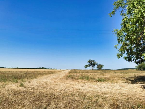 Maison à vendre à Montrichard (41400) - Loir-et-Cher