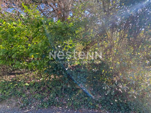 Terrain Saint Avertin 980 m2 constructible environnement boisé
