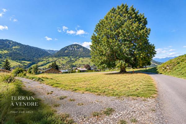Terrain Praz Sur Arly 888 m2