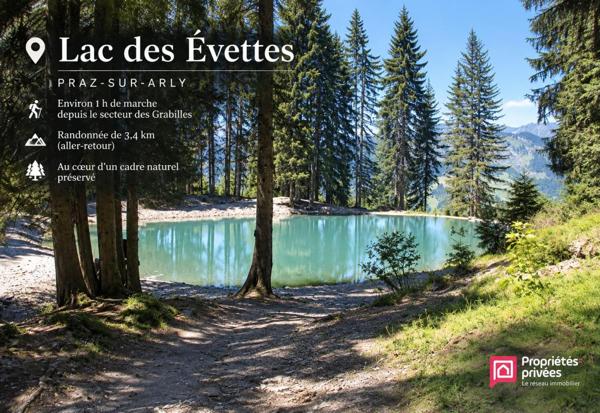 Terrain Praz Sur Arly 888 m2