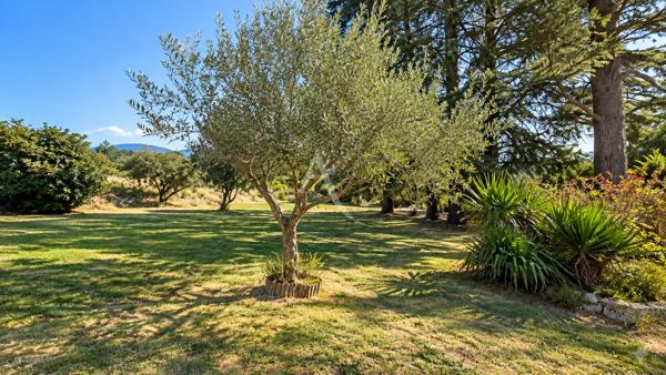 PROPRIETE FORCALQUIER VILLA DEPENDANCE PISCINE HANGAR JARDIN