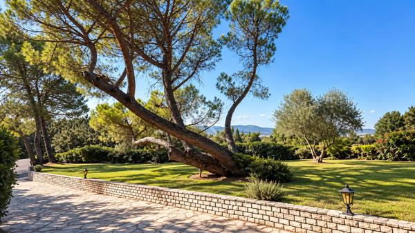 PROPRIETE FORCALQUIER VILLA DEPENDANCE PISCINE HANGAR JARDIN