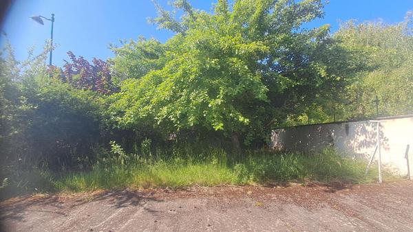 Maison Armes 4 pièce(s) 180 m2    149 900