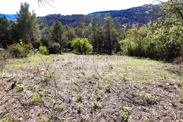 Terrain de 2 920 m²