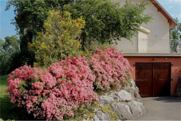 Propriete à vendre 7 pièces