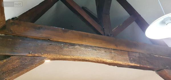 Appartement à louer à Cambrai dans le Nord (59400), ref : 59084-L1462   
Centre-Ville