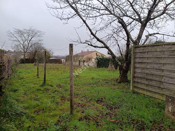 Maison en pierre familiale à vendre dans le bourg de commune de la Chaussaire