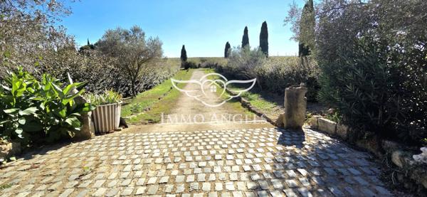 Domaine viticole à vendre entre Nîmes et la Méditerranée – Mas contemporain