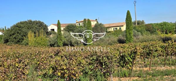 Domaine viticole à vendre entre Nîmes et la Méditerranée – Mas contemporain