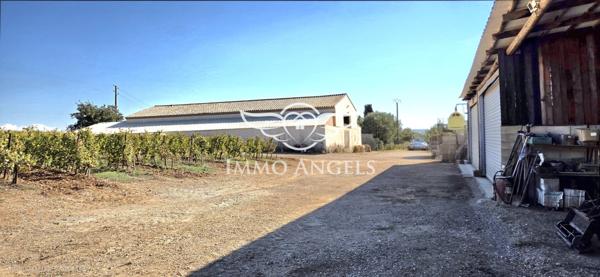 Domaine viticole à vendre entre Nîmes et la Méditerranée – Mas contemporain