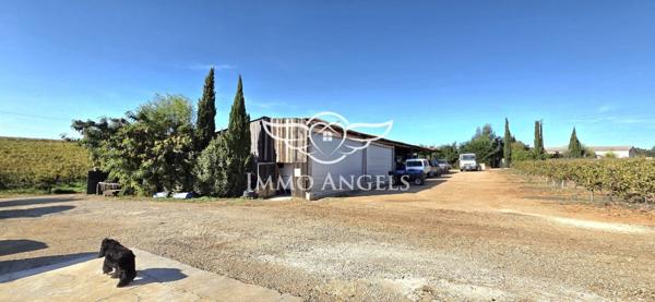 Domaine viticole à vendre entre Nîmes et la Méditerranée – Mas contemporain