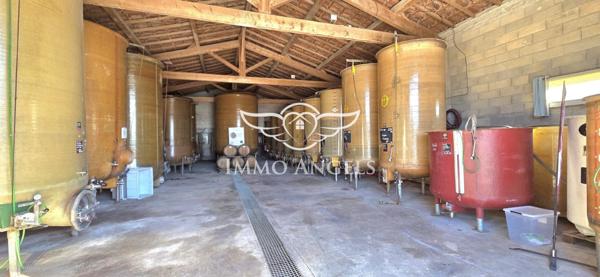 Domaine viticole à vendre entre Nîmes et la Méditerranée – Mas contemporain