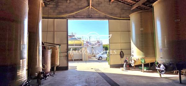 Domaine viticole à vendre entre Nîmes et la Méditerranée – Mas contemporain