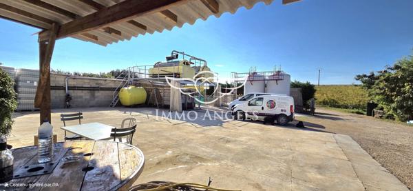 Domaine viticole à vendre entre Nîmes et la Méditerranée – Mas contemporain