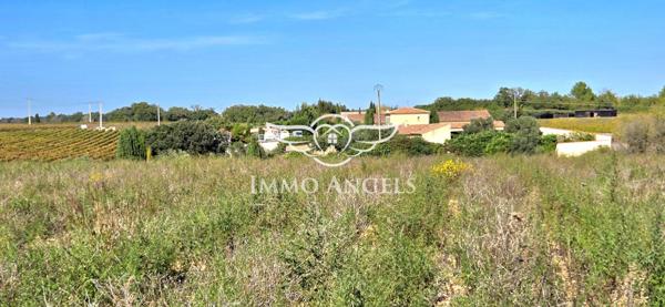 Domaine viticole à vendre entre Nîmes et la Méditerranée – Mas contemporain
