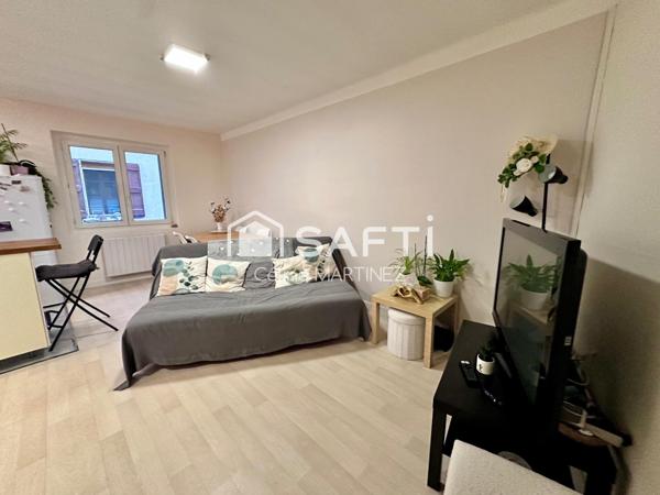 Maison de village avec local commercial et appartement