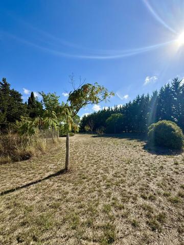 Vente / Maison et grand terrain