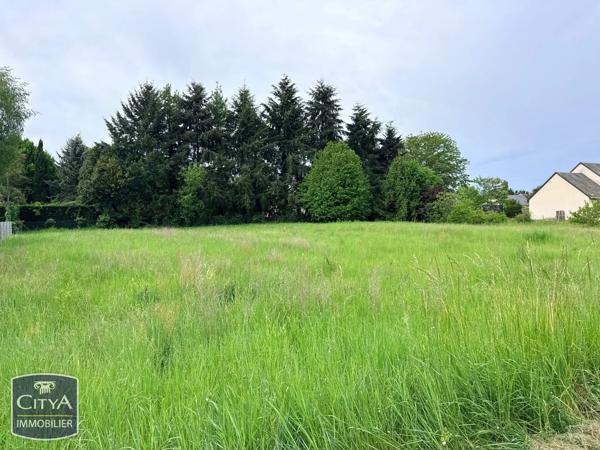 Terrain à vendre Ligré (37500)