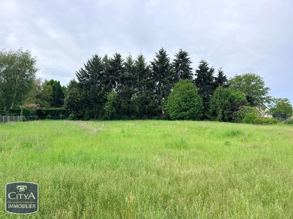 Terrain à vendre Ligré (37500)