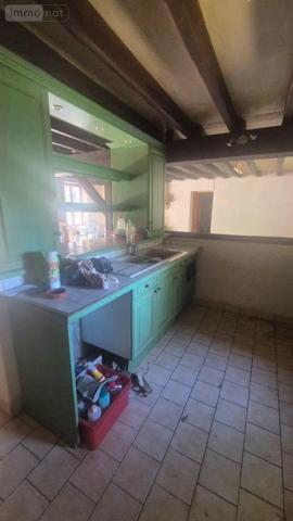 Achat - Maison | Maison restaurée Lys-Saint-Georges 36230 8 pièces 250 m 2 2760 m 2