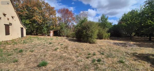 Achat - Maison | Maison restaurée Lys-Saint-Georges 36230 8 pièces 250 m 2 2760 m 2