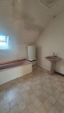 Achat - Maison | Maison restaurée Lys-Saint-Georges 36230 8 pièces 250 m 2 2760 m 2