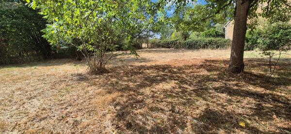 Achat - Maison | Maison restaurée Lys-Saint-Georges 36230 8 pièces 250 m 2 2760 m 2