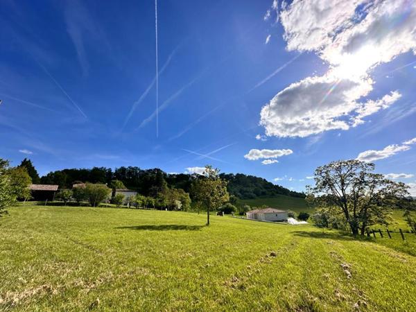 Terrain