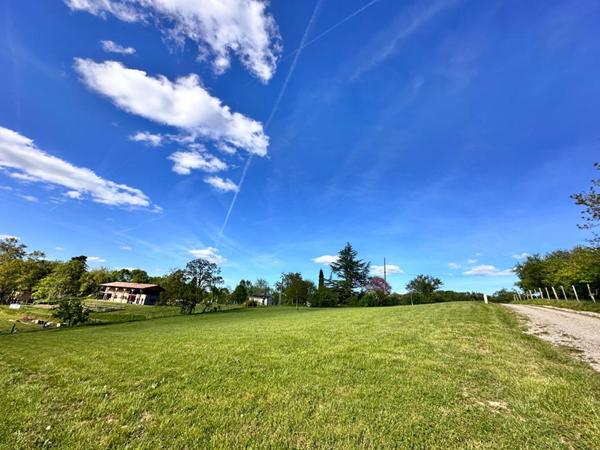 Terrain