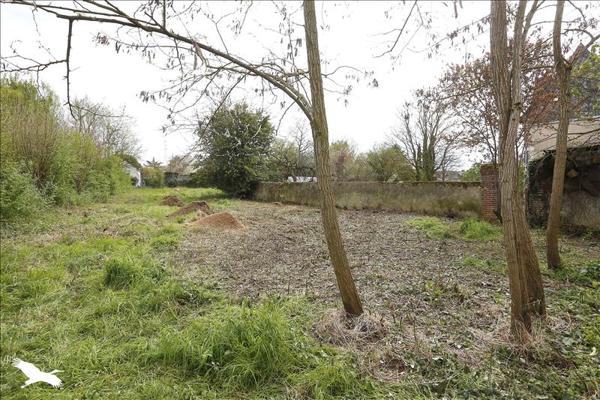 Terrain à vendre |  Saint-Cyr-sur-Loire |  606 m²