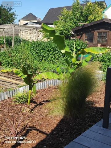 Maison à vendre à Vernoil le Fourrier dans le Maine-et-Loire (49390), ref : 49046/805