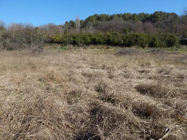 Vente Terrain 2719 m2 à Salernes