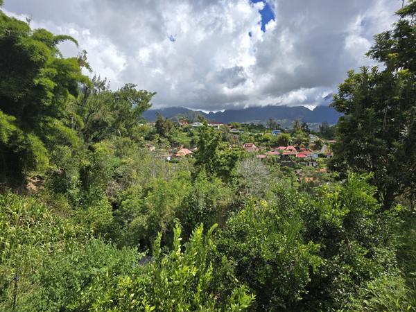 🏠 À VENDRE : GÎTE TOURISTIQUE STRATÉGIQUE – SALAZIE (97433)