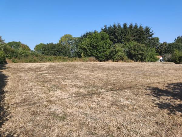 TERRAIN CONSTRUCTIBLE NON VIABILISE - PAMPROUX